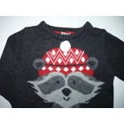 Kép a(z) 92/98-as tündéri mosómedvés pulóver termékhez