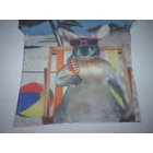 134/140-es vidám nyári kengurus póló