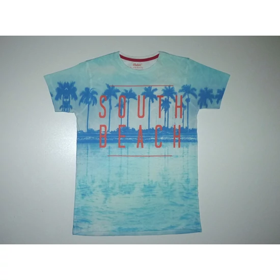 Kép a(z) 152-es pálmafás rövid ujjú póló - játszósabb termékhez